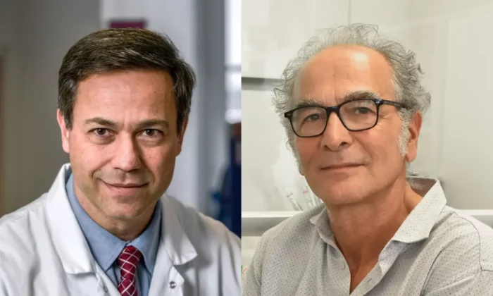 DU Santé et maladies cardiométaboliques : une nouvelle formation pour les professionnels du soin et de la recherche