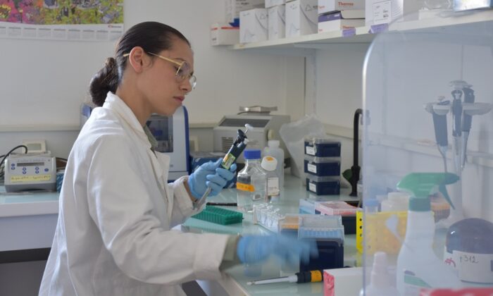 Ces femmes qui font avancer la recherche cardiométabolique à l’IHU ICAN