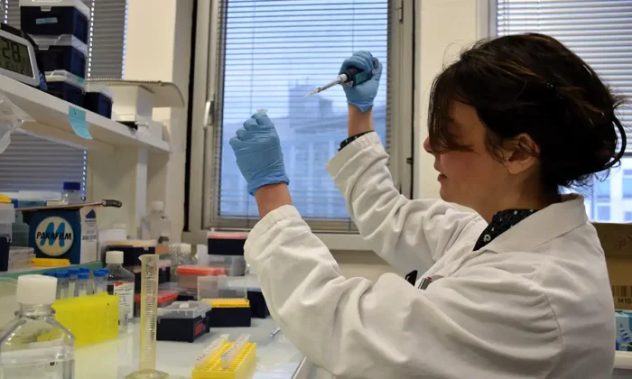 Une avancée majeure dans la compréhension des mécanismes de la cardiomyopathie atriale